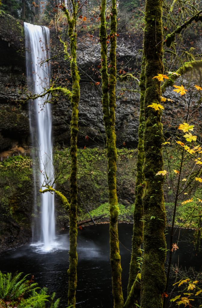 Falls - Larry Wright